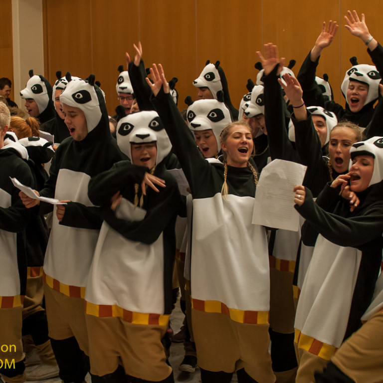 Pöndur í heimsókn