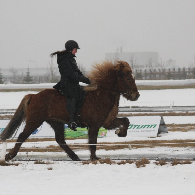 Thelma Dögg Tómasdóttir, sigurvegari í töltkeppni á Takti frá Torfunesi,