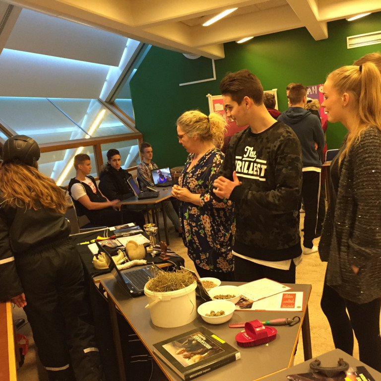 Kynning á áhugamálum í lífsleikni