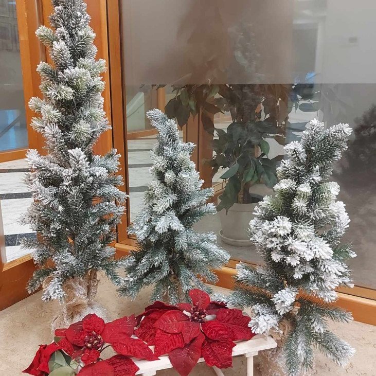 Dagskrá og opnunartími næstu vikna