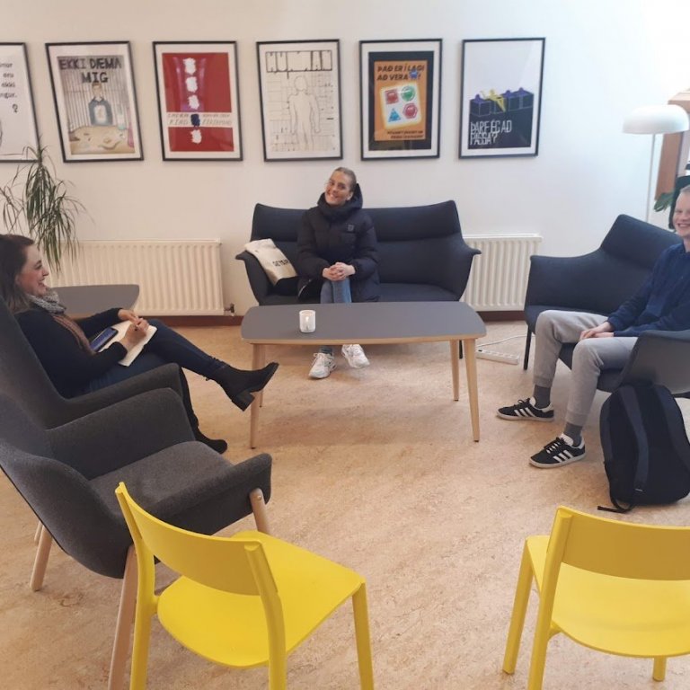 HEIMSÓKN BANDARÍSKS BLAÐAMANNS OG SKÁLDS