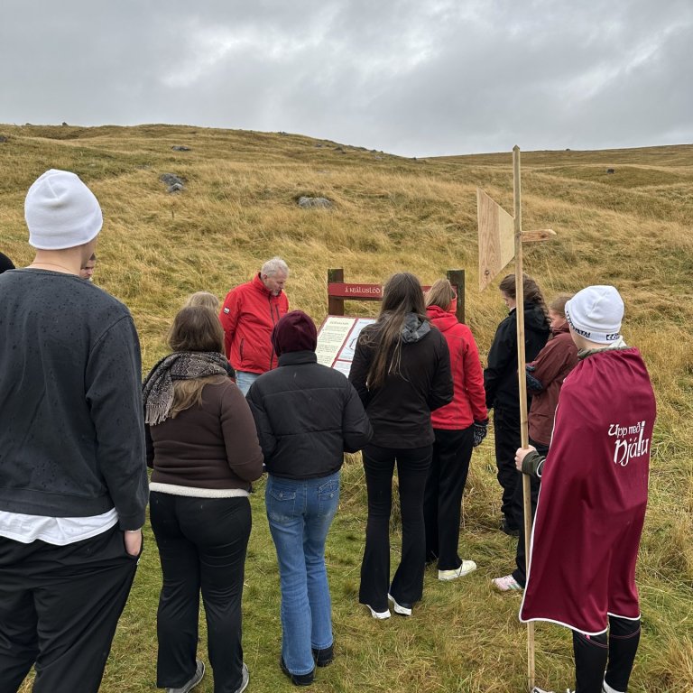 EINVALALIÐ Á NJÁLUSLÓÐUM