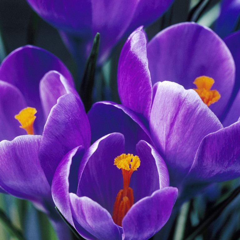 Unnið úr umsóknum og lokun skrifstofu í sumar