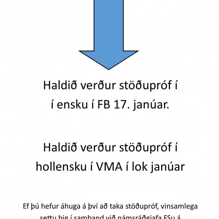 Stöðupróf í ensku og hollensku