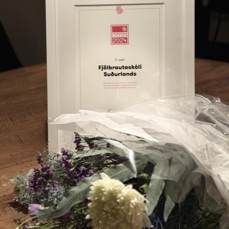 FSu er fyrirmyndarstofnun árið 2024