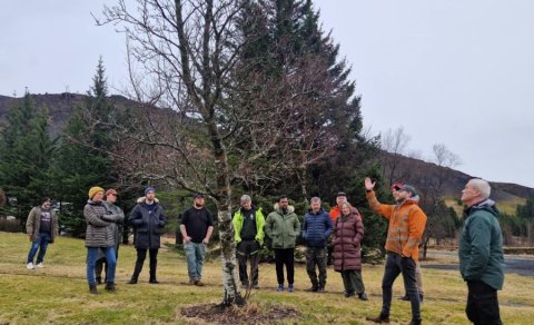 Nemendur skoða tré