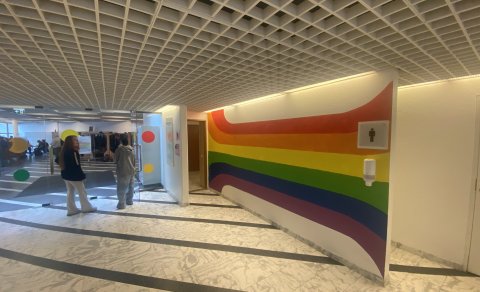 HINSEGIN DAGAR OG HINSEGIN VEGGUR